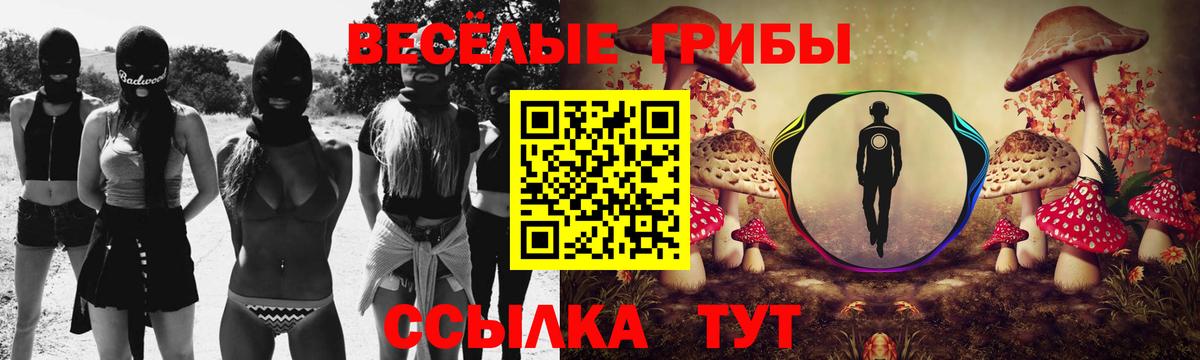 Псилоцибиновые грибы MAGIC MUSHROOMS  Вход с VPN  Арсеньев  Галлюциногенные грибы Psilocybe 