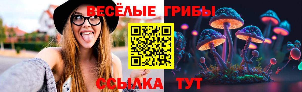 Псилоцибиновые грибы мицелий Арсеньев